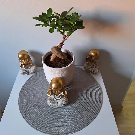 Lara سوبوتيتْسا